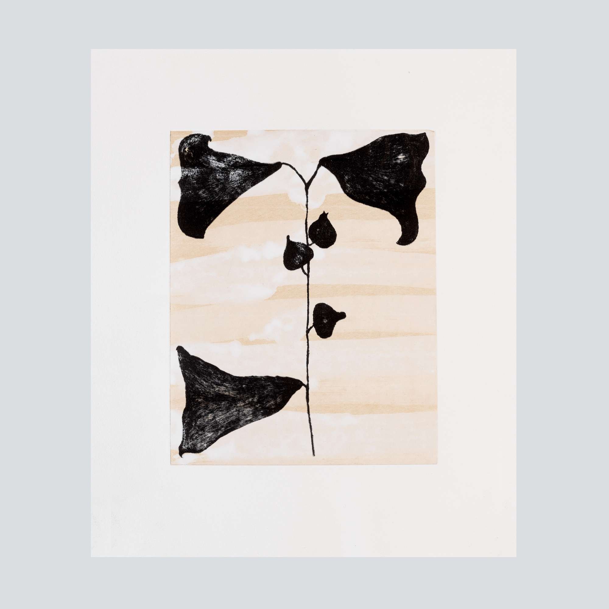 Gabler, Patrick - Malve, 2024