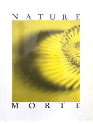 LÜTHI, URS - Nature Morte, 1991